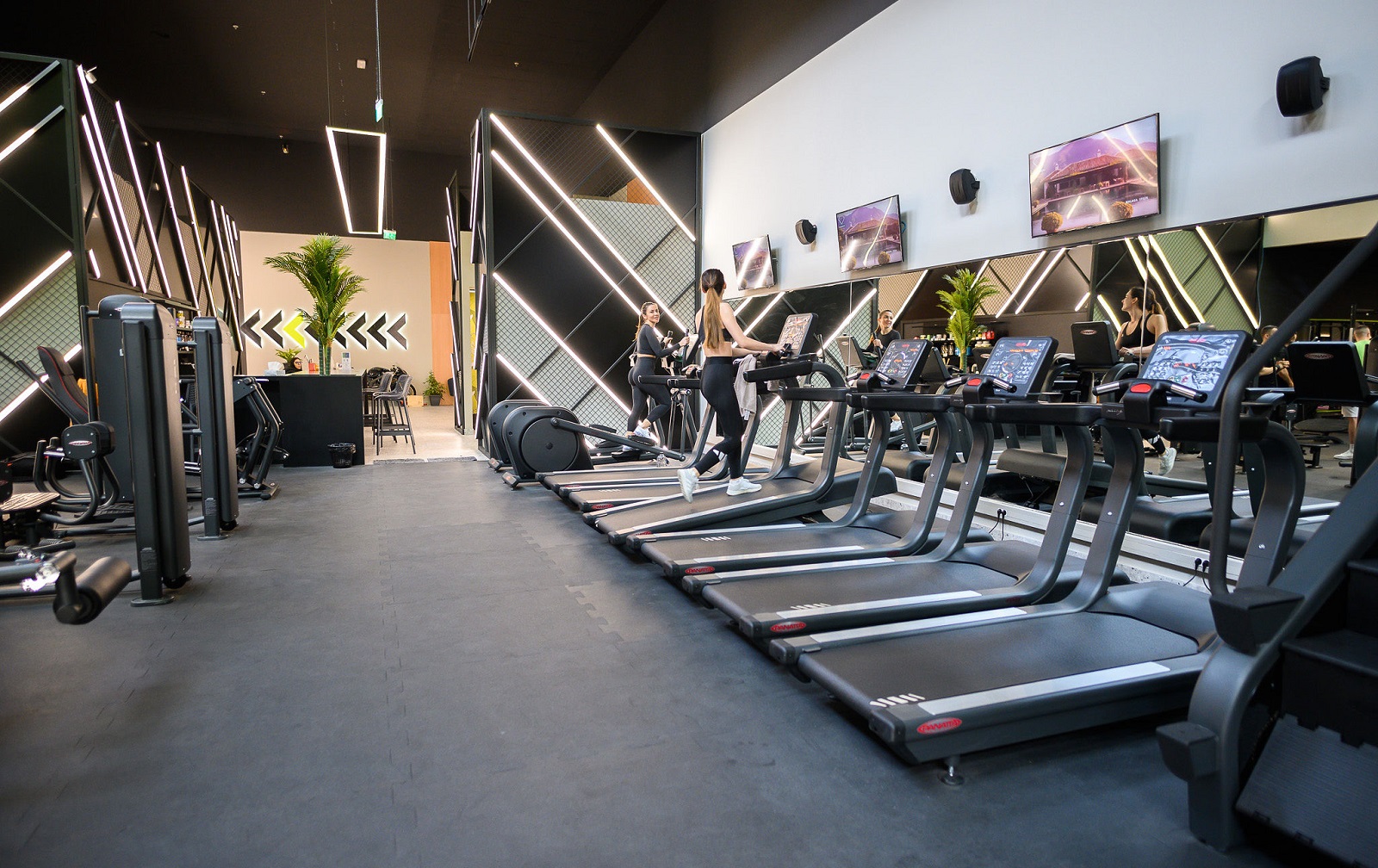 Evolution fitness